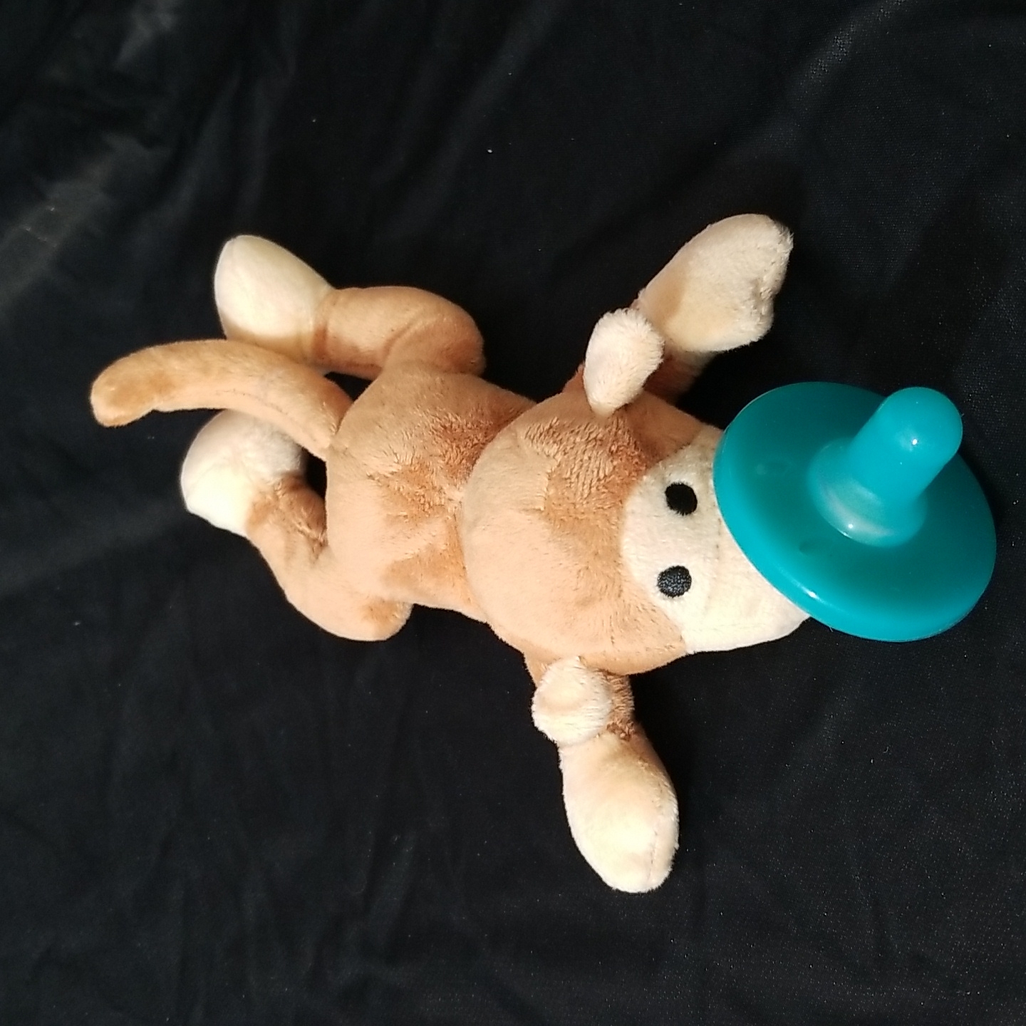 Pacifier Monkey